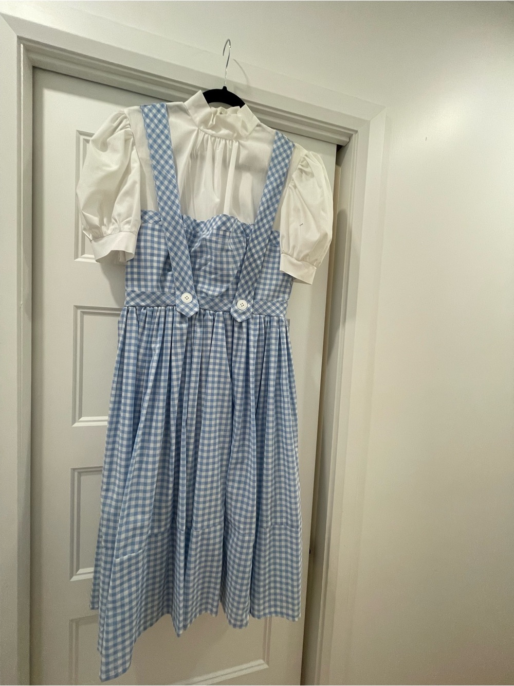 Dorothy Women’s Costume Dress